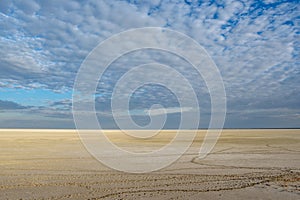 Etosha pan in the early morning light with animal tracks