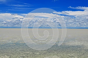 Etosha pan,Namibia