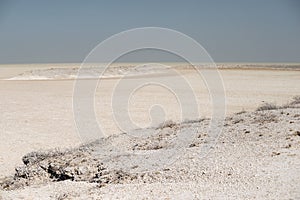 Etosha plain in Namibia