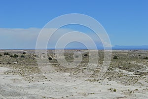 Etrified National Forest Sandy Desert Crusty Surface Road