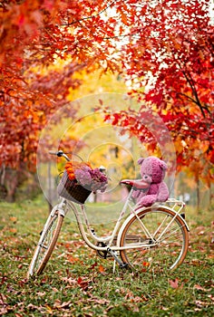 etro white bicycle with a basket of flowers and a toy on the trunk stands in an autumn park near yellowed trees. Red maples photo