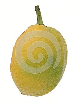 Etrog green