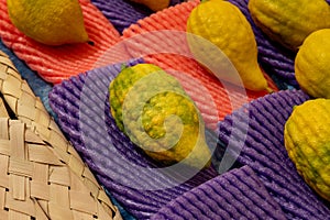 Etrogs or citron fruits, on sale inJerusalem prior to the Jewish holiday of Sukkot.