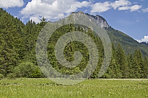 Ettal Weidmoos and Laber