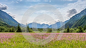 Ettaler weidmoos in ammergauer alps, germany