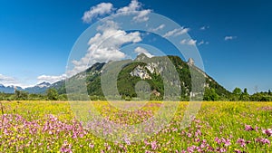 Ettaler weidmoos in ammergauer alps, germany