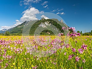 ettaler weidmoos in ammergauer alps, germany