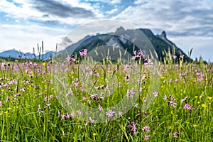 ettaler weidmoos in ammergauer alps, germany