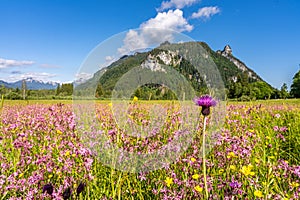 ettaler weidmoos in ammergauer alps, germany