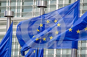 EU flags photo