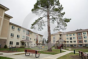 EU Pine Tree and Residential Buildings Complex