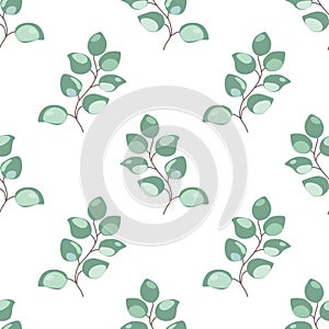Eucaliptus pattern seamless. Gentle light green eucaliptus leaves, botanical branches repeat background