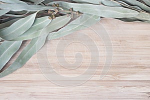 Eucalypt twig on a wooden table