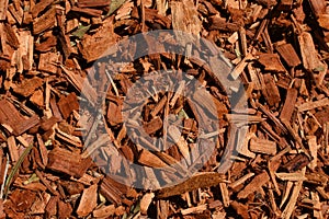 Eucalyptus bark mulch background