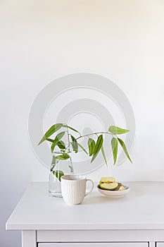 Eucalyptus branch in a glass vase on white table, a sliced green apple in a saucer against the background of the wall. Ready