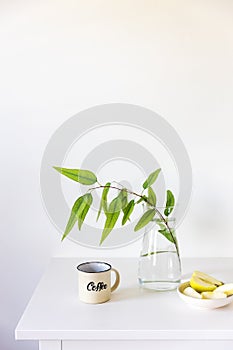 Eucalyptus branch in a glass vase on  white table, a sliced green apple in a saucer against the background of the wall. Ready