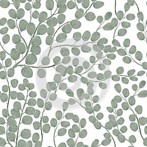 Eucalyptus branch with leaves vector hand drawn seamless pattern. Watercolor imitation. Background with eucalyptus on white. Best