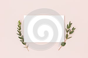 Eucalyptus branches and empty paper mockup on a pink background