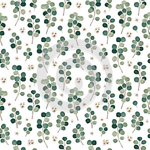Eucalyptus branches and flowers for design. Seamless pattern.