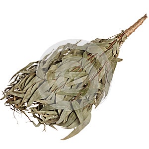 Eucalyptus broom for a bath isolated