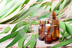 Eucalyptus essential oil in the amber bottle