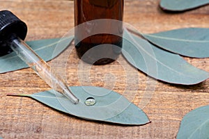 Eucalyptus Essential oil in Amber Round Glass Bottle with Glass Dropper and Fresh Eucalyptus leaves on wood. Phytothe