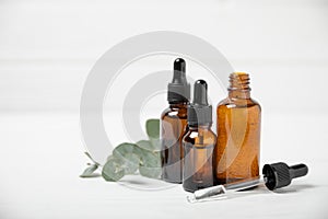 Eucalyptus essential oil in a glass bottle with green eucalyptus leaves