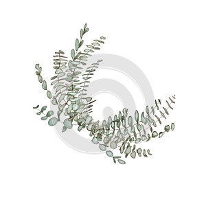 Eucalyptus garland, copy space Watercolor like composition Herbs for cards