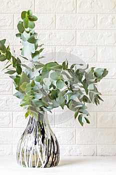 Eucalyptus in a glass vase