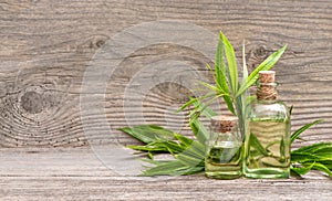 Eucalyptus herbal oil bottle wooden background