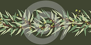 Eucalyptus horizontal seamless border vector