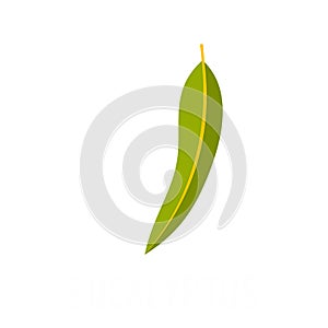 Eucalyptus leaf icon, flat style