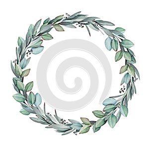 Eucalyptus leaf wreath watercolor painted illustration. Natural botanical winter frame realistic image.