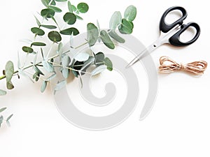 Eucalyptus leaves with black scissor and kraft string on white background