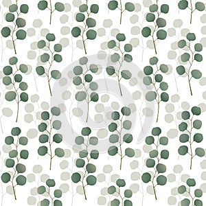 Eucalyptus leaves and branches vector pattern