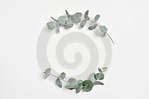 Eucalyptus leaves frame on white background with place for your text. Wreath made of leaf branches. Flat lay, top view
