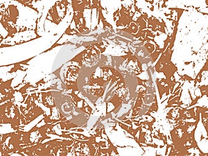 Eucalyptus Leaf and Gumnut Vector Texture Background photo