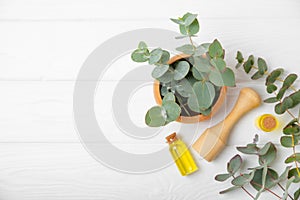 Eucalyptus leaves and mortar on a wooden background.