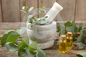 Eucalyptus leaves and mortar on a wooden background.