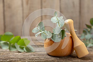 Eucalyptus leaves and mortar on a wooden background.