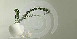 Eucalyptus lef branch in white bowl and burning candle on gray interior. Selective soft focus. Minimalist still life. Light and