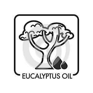 Eucalyptus oil drops and tree with branches and foliage