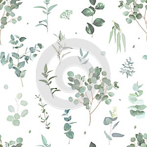 Eucalyptus selection greenery print with leaves and plants. Botanical pattern design. Mint, green, gray, sage