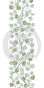 Eucalyptus silver dollar vertical seamless border vector