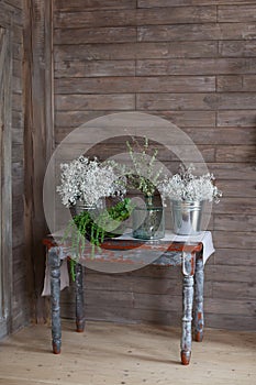 Eucalyptus sprigs with fresh leaves in vases on a wooden table. Still life details of a cozy home interior in a rustic style. Coun