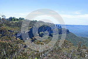 Eucalyptus valley between rocky ranges