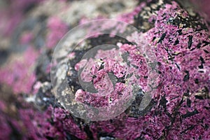 Eudialyte