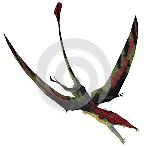 Eudimorphodon Pterosaur Diving