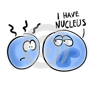 Eukaryotic cell has a nucleus