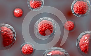 Eukaryotic cell, nucleus and organelles and plasma membrane